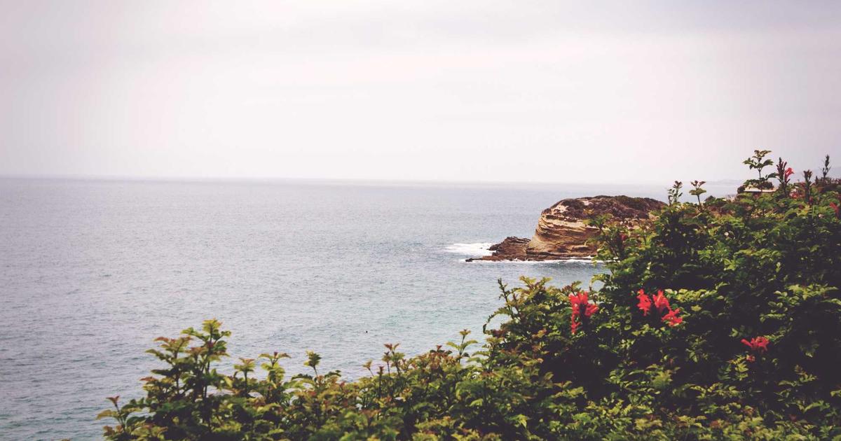 Where Your Heart Truly Rests