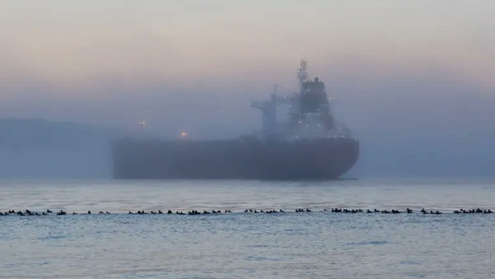 Who’s Buying Russian Oil? UBS Has The Answer