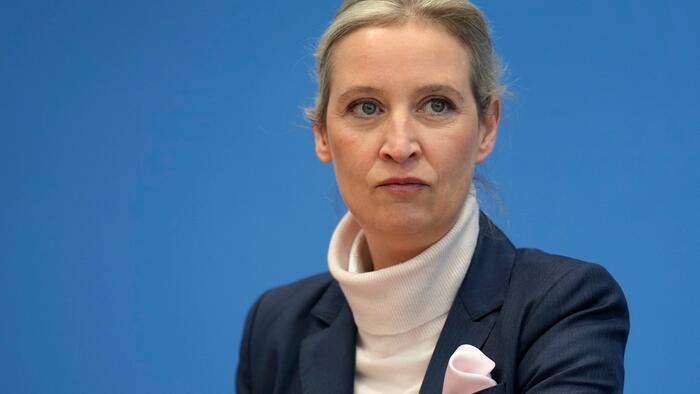 AfD Hits Record In West German State, As Voters Dissatisfied With Current Government Surge