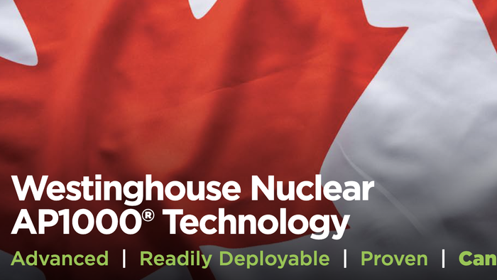 Canada Has The Nuclear Technology. Why Buy The Dependency?