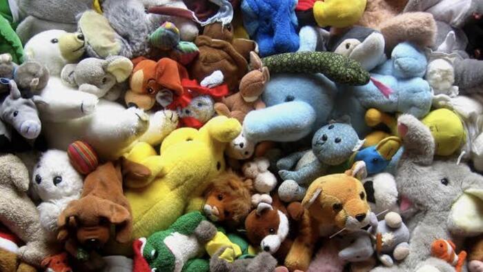 Anthropic President Daniela Amodei Created A Stuffed-Animal Advisory Council While At OpenAI