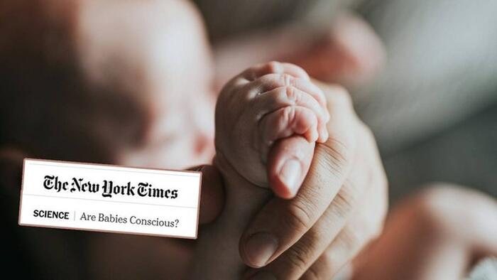 NY Times Suggests Babies Are Not Conscious