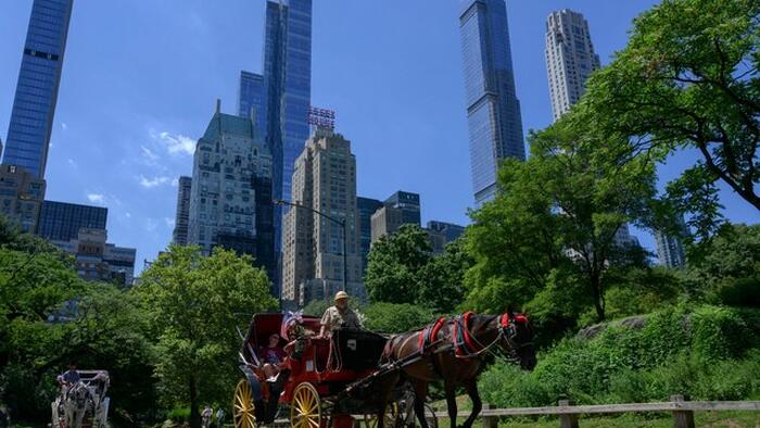 Mamdani Moves To Ban Horse Carriages From NYC, Drivers React