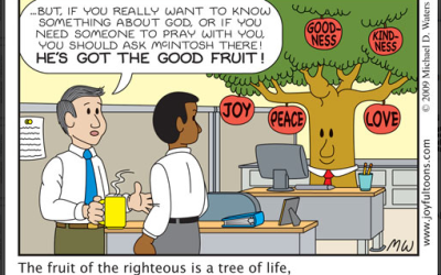[First Aid joyful toons] 128 Fruit Tree